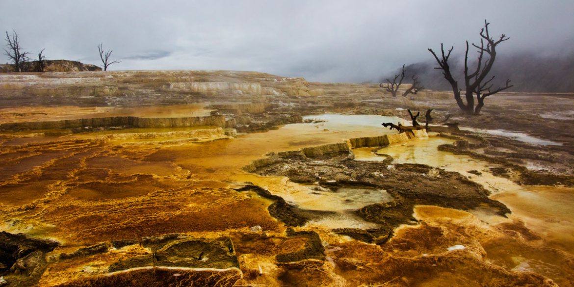 Mammoth Hot Springs in Yellowstone National Park