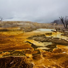 Mammoth Hot Springs in Yellowstone National Park