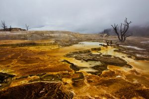 Mammoth Hot Springs in Yellowstone National Park