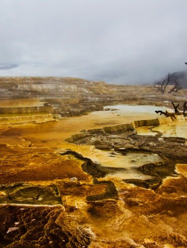 Mammoth Hot Springs in Yellowstone National Park