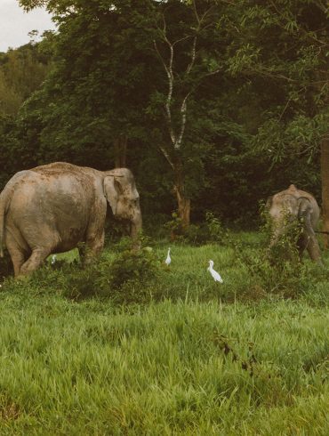 The best books for learning about wildlife photography